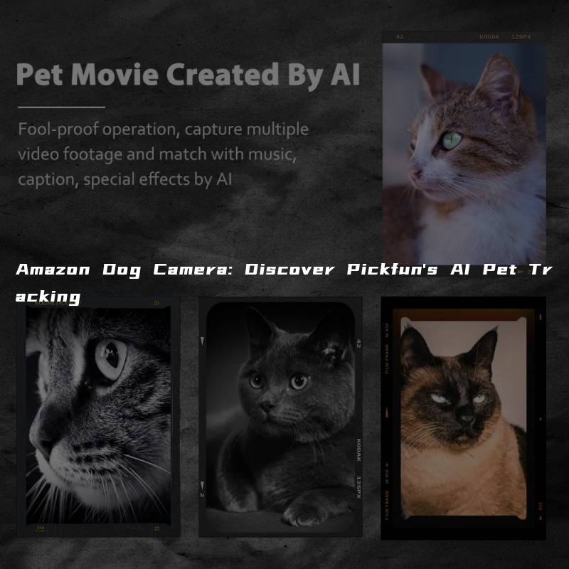 Amazon Dog Camera: Discover Pickfun’s AI Pet Tracking