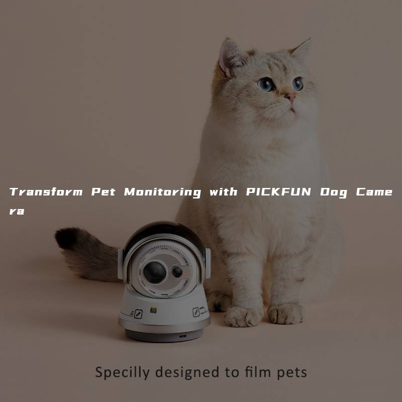 Transform Pet Monitoring with PICKFUN Dog Camera