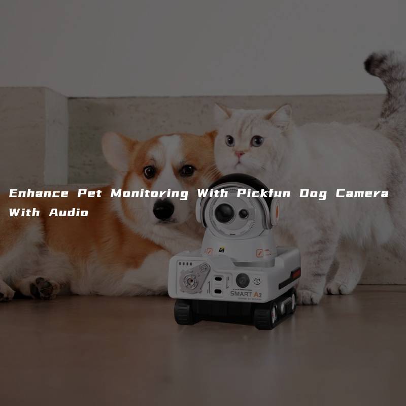 Enhance Pet Monitoring With Pickfun Dog Camera With Audio