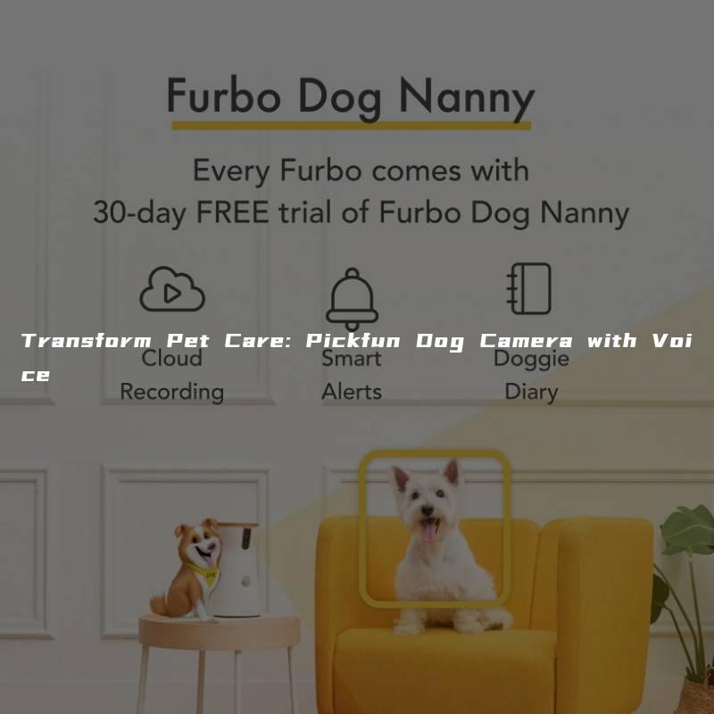 Transform Pet Care: Pickfun Dog Camera with Voice