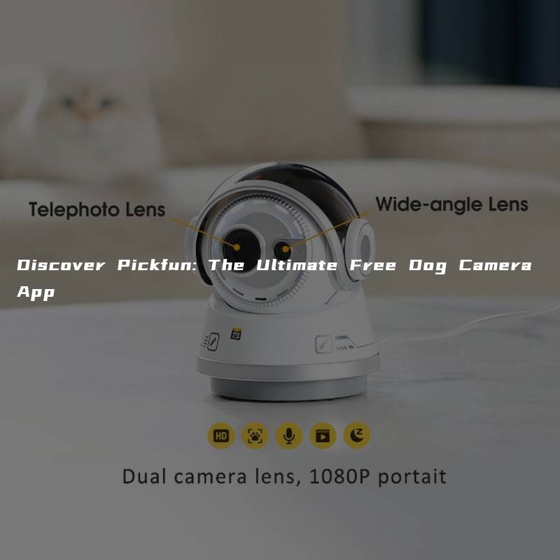 Discover Pickfun: The Ultimate Free Dog Camera App