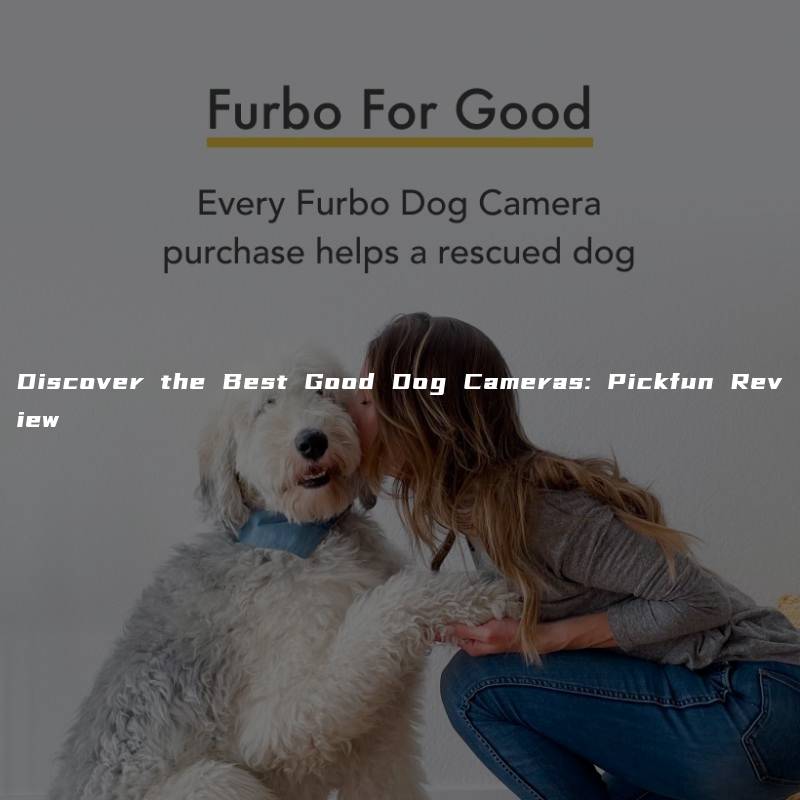Discover the Best Good Dog Cameras: Pickfun Review