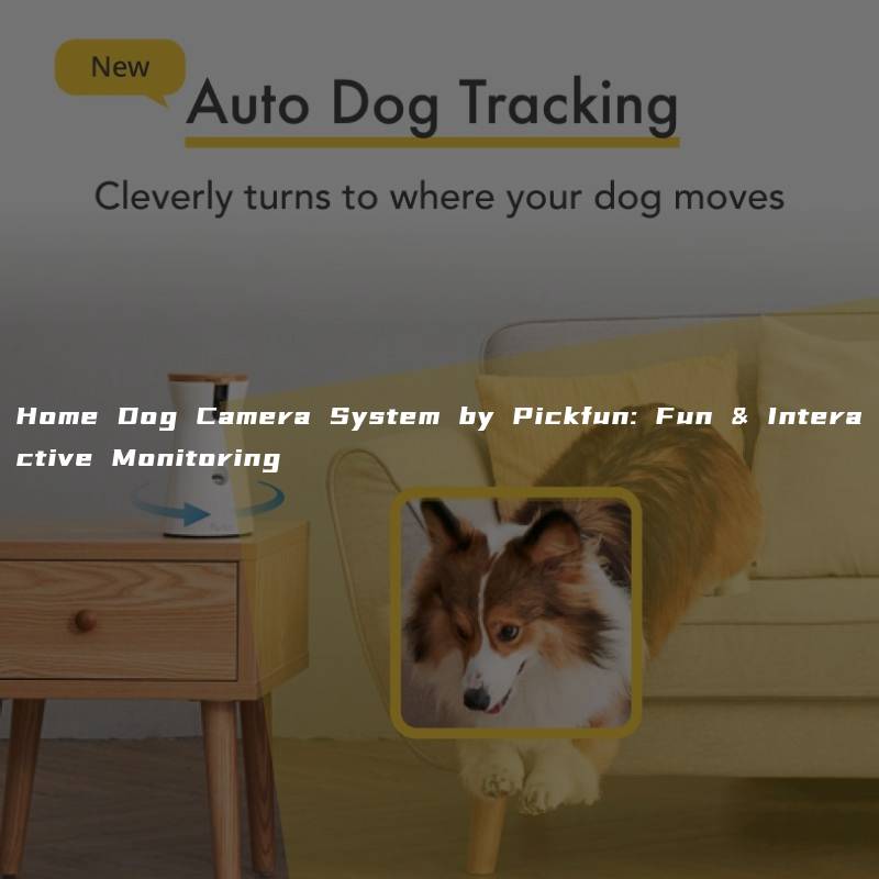 Home Dog Camera System by Pickfun: Fun & Interactive Monitoring