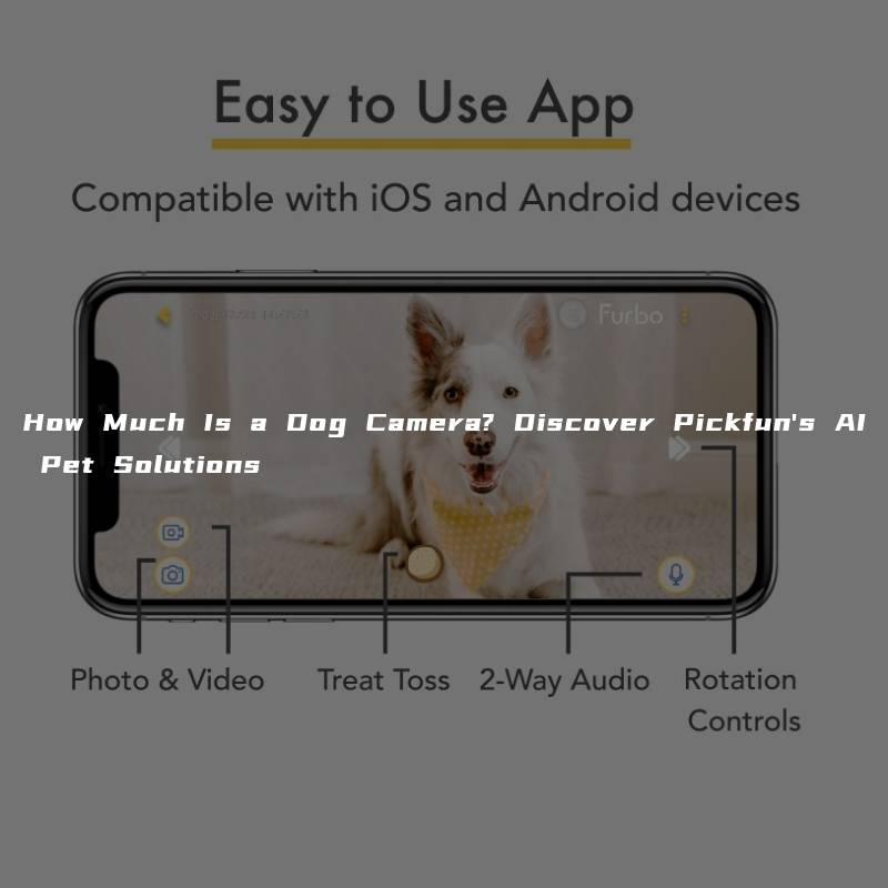 How Much Is a Dog Camera? Discover Pickfun’s AI Pet Solutions