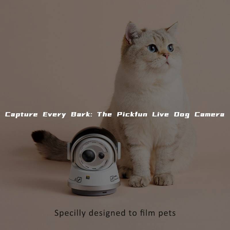 Capture Every Bark: The Pickfun Live Dog Camera