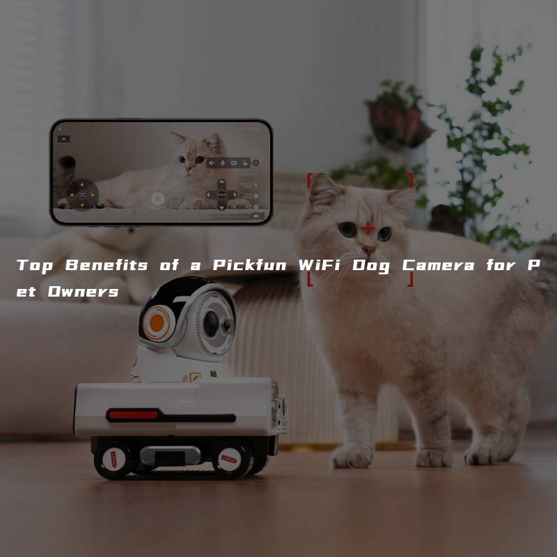 Top Benefits of a Pickfun WiFi Dog Camera for Pet Owners