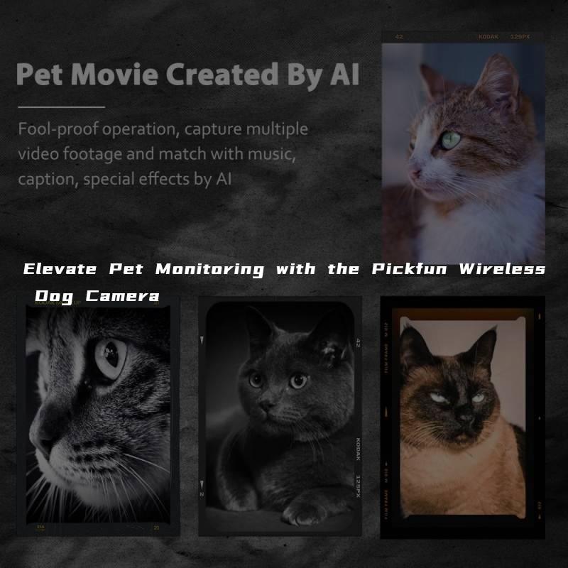 Elevate Pet Monitoring with the Pickfun Wireless Dog Camera