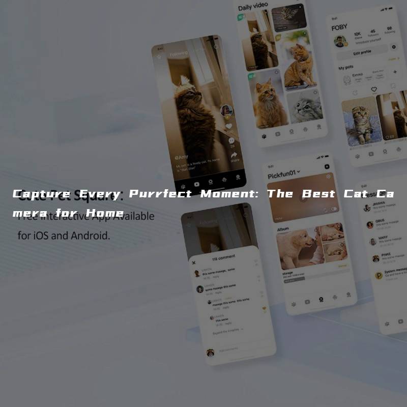 Capture Every Purrfect Moment: The Best Cat Camera for Home