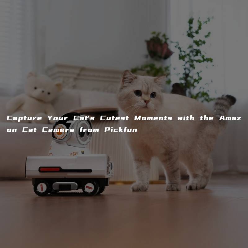 Capture Your Cat’s Cutest Moments with the Amazon Cat Camera from Pickfun