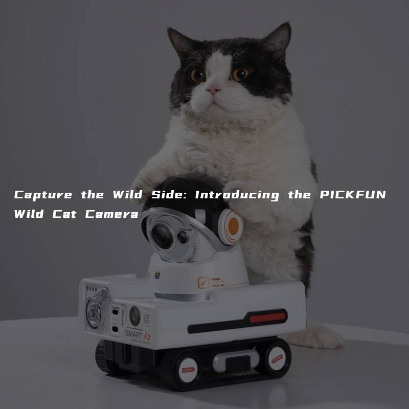 Capture the Wild Side: Introducing the PICKFUN Wild Cat Camera