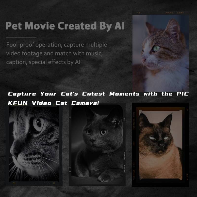Capture Your Cat’s Cutest Moments with the PICKFUN Video Cat Camera!