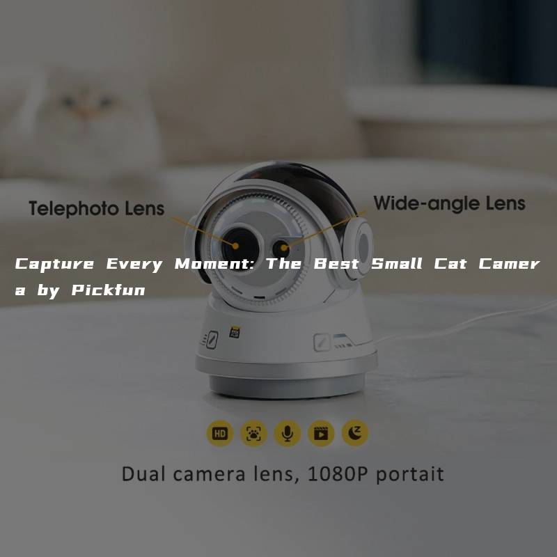 Capture Every Moment: The Best Small Cat Camera by Pickfun