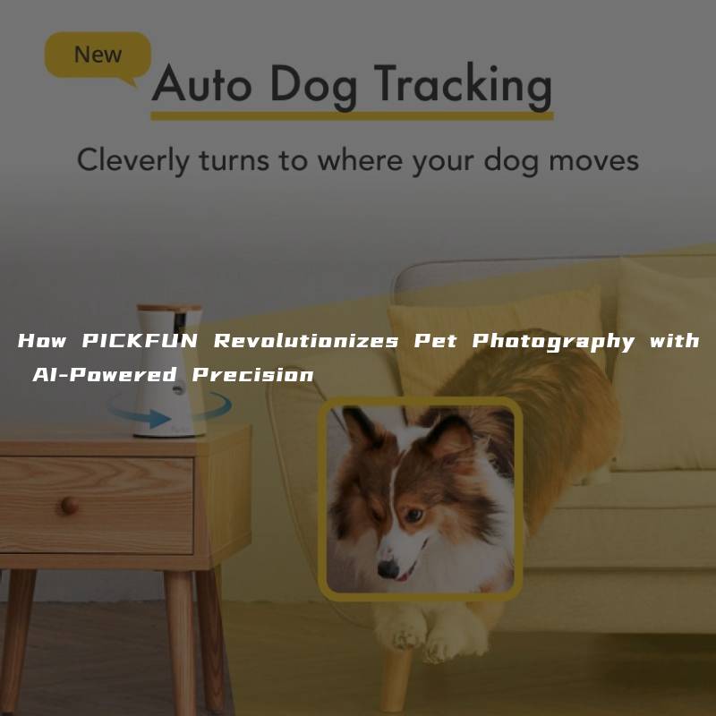 How PICKFUN Revolutionizes Pet Photography with AI-Powered Precision