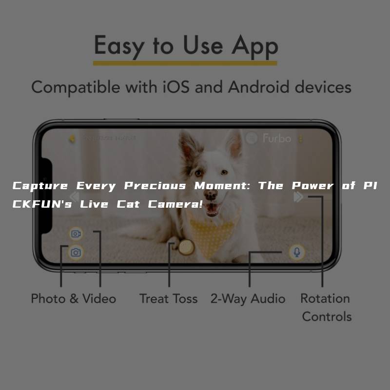 Capture Every Precious Moment: The Power of PICKFUN’s Live Cat Camera!