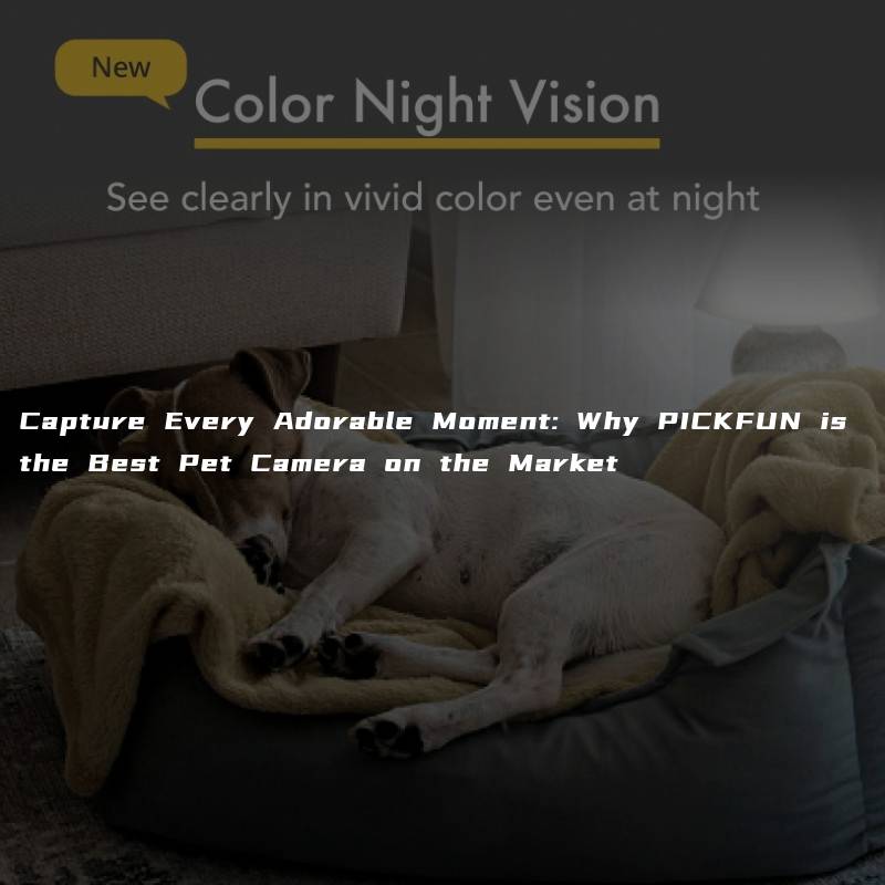 Capture Every Adorable Moment: Why PICKFUN is the Best Pet Camera on the Market