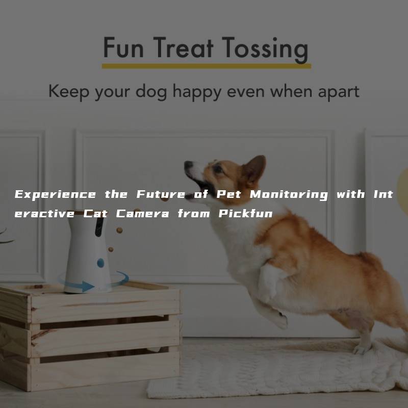 Experience the Future of Pet Monitoring with Interactive Cat Camera from Pickfun