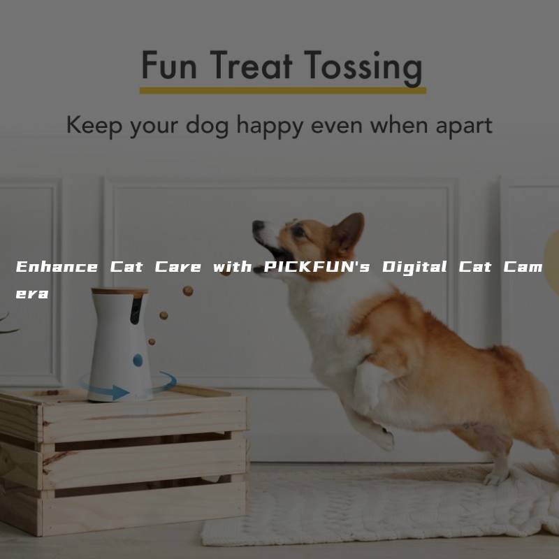 Enhance Cat Care with PICKFUN’s Digital Cat Camera