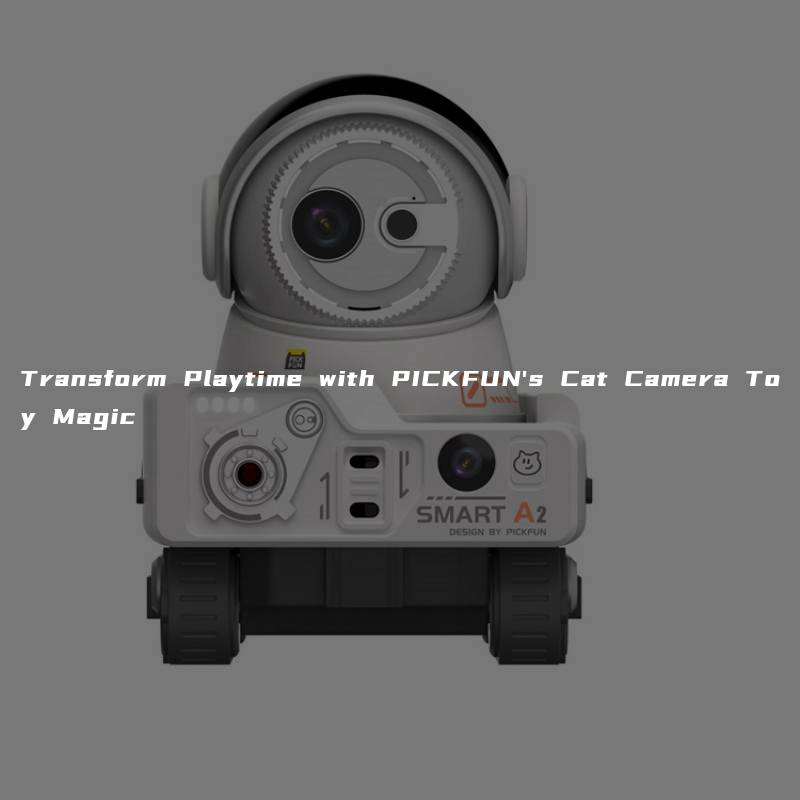 Transform Playtime with PICKFUN’s Cat Camera Toy Magic