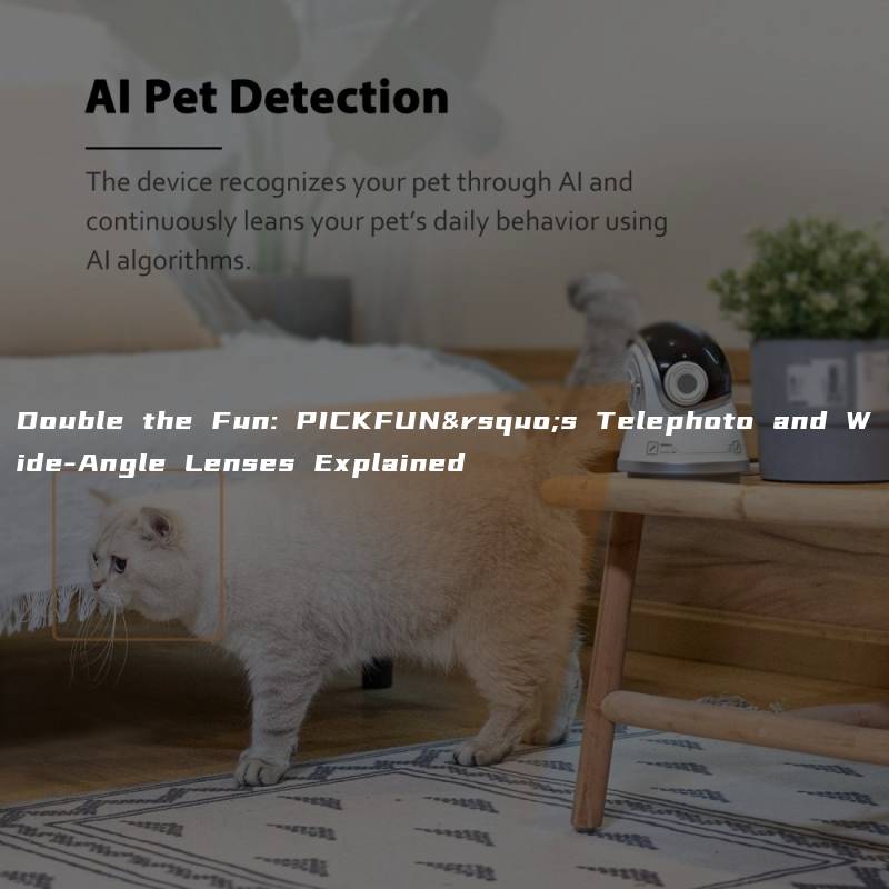 Double the Fun: PICKFUN’s Telephoto and Wide-Angle Lenses Explained