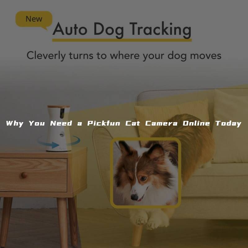 Why You Need a Pickfun Cat Camera Online Today