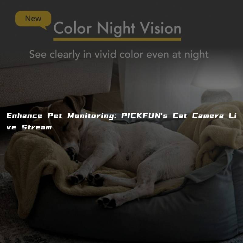 Enhance Pet Monitoring: PICKFUN’s Cat Camera Live Stream