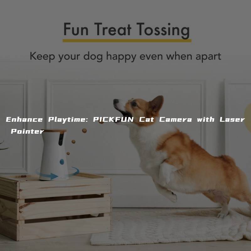 Enhance Playtime: PICKFUN Cat Camera with Laser Pointer