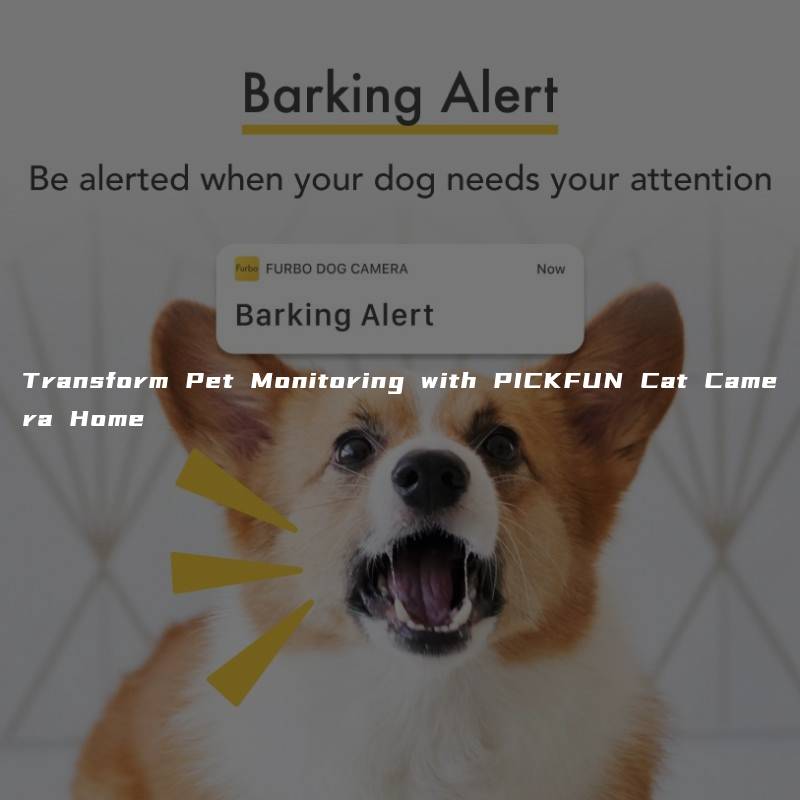 Transform Pet Monitoring with PICKFUN Cat Camera Home