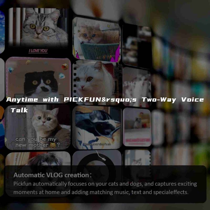 Anytime with PICKFUN’s Two-Way Voice Talk