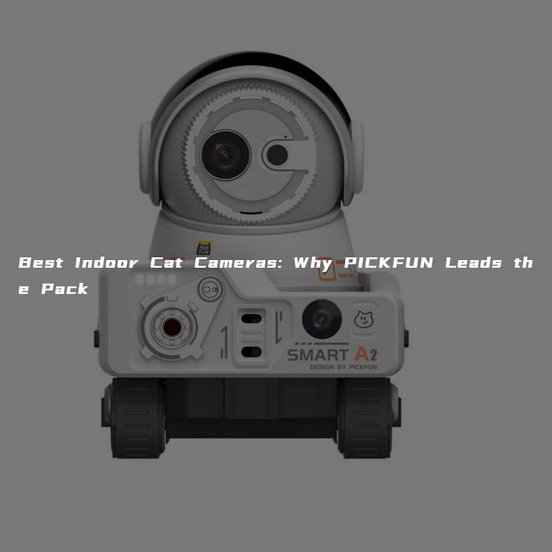 Best Indoor Cat Cameras: Why PICKFUN Leads the Pack
