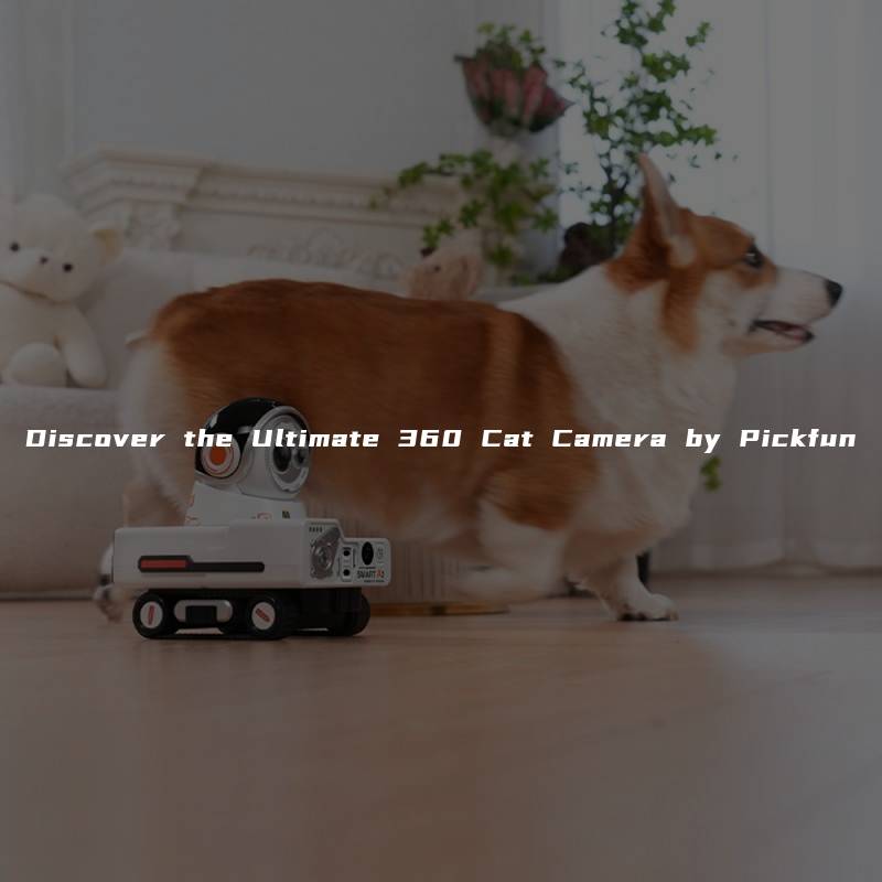 Discover the Ultimate 360 Cat Camera by Pickfun