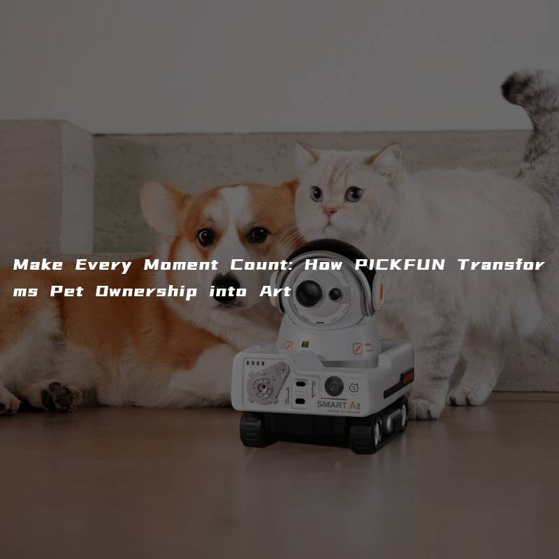 Make Every Moment Count: How PICKFUN Transforms Pet Ownership into Art