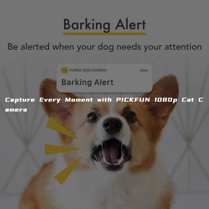 Capture Every Moment with PICKFUN 1080p Cat Camera